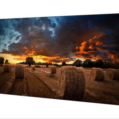 Pantallas especializadas y Video Walls